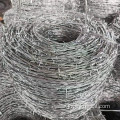 Galvanized Robust Barbed Wire